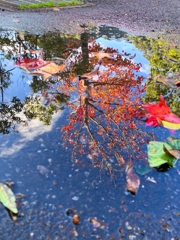 水溜りAnother version