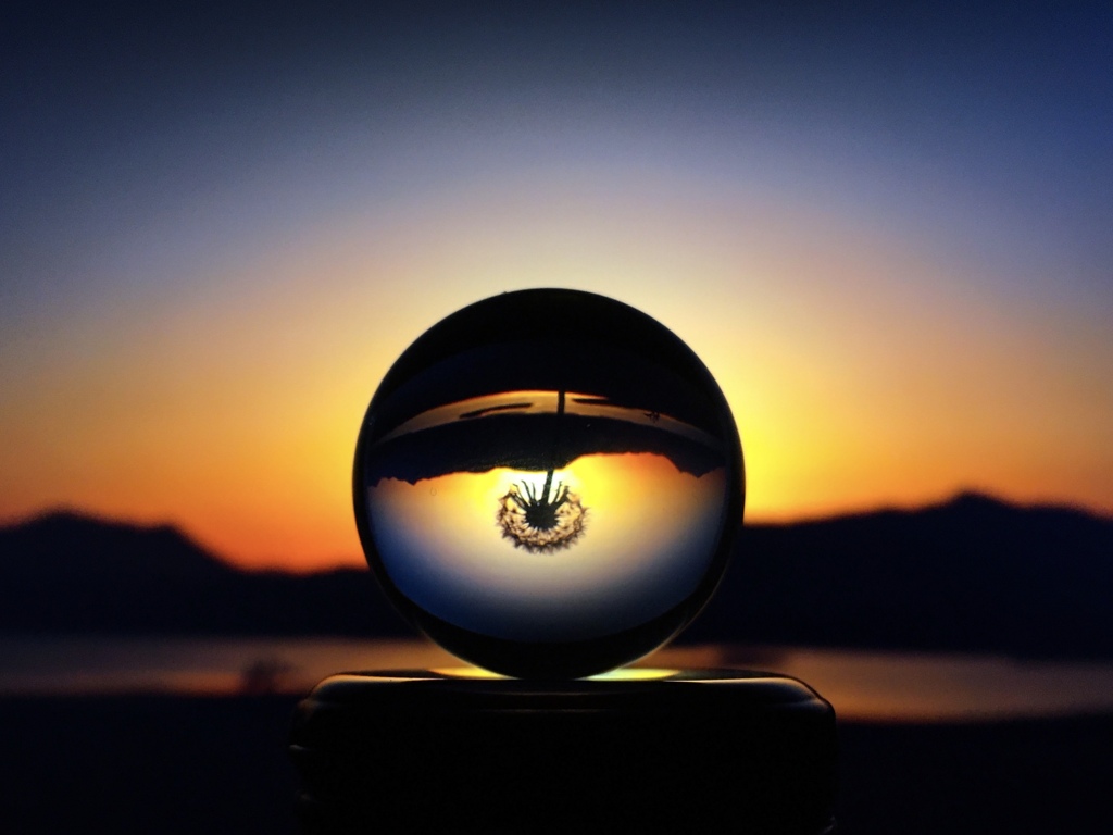 綿毛の映し込み