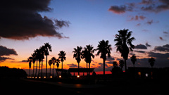 帰宅前の寄り道 ver.2