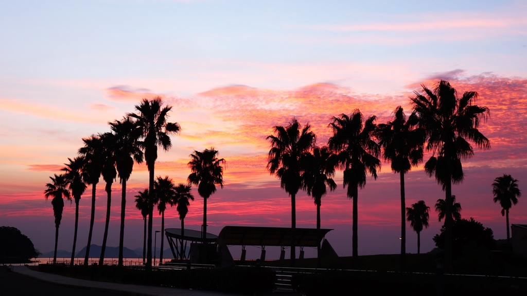 フェニックスのシルエット