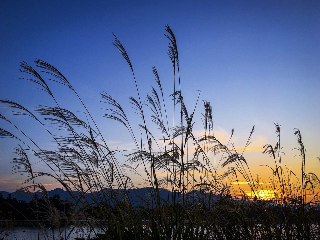 今朝の寄り道ver.2