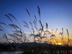 今朝の寄り道ver.2