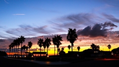 本日のラストアップ