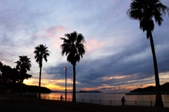 定位置からの撮影