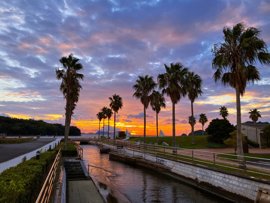 水路と椰子の木