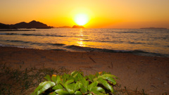 ハマウドと夕景