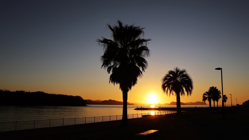 遊歩道越しの夕景