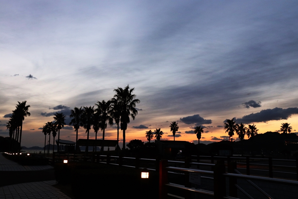 フェニックス越しの夕景