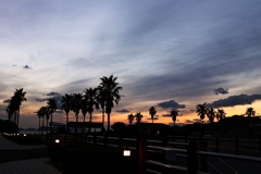 フェニックス越しの夕景