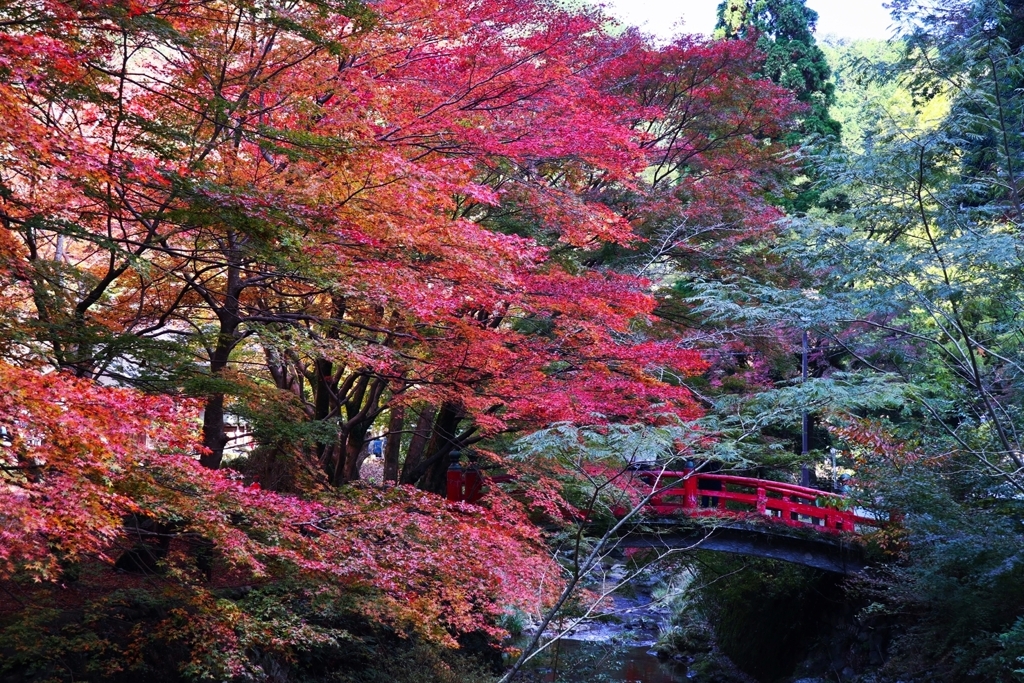 盤石橋からの眺め