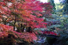 盤石橋からの眺め