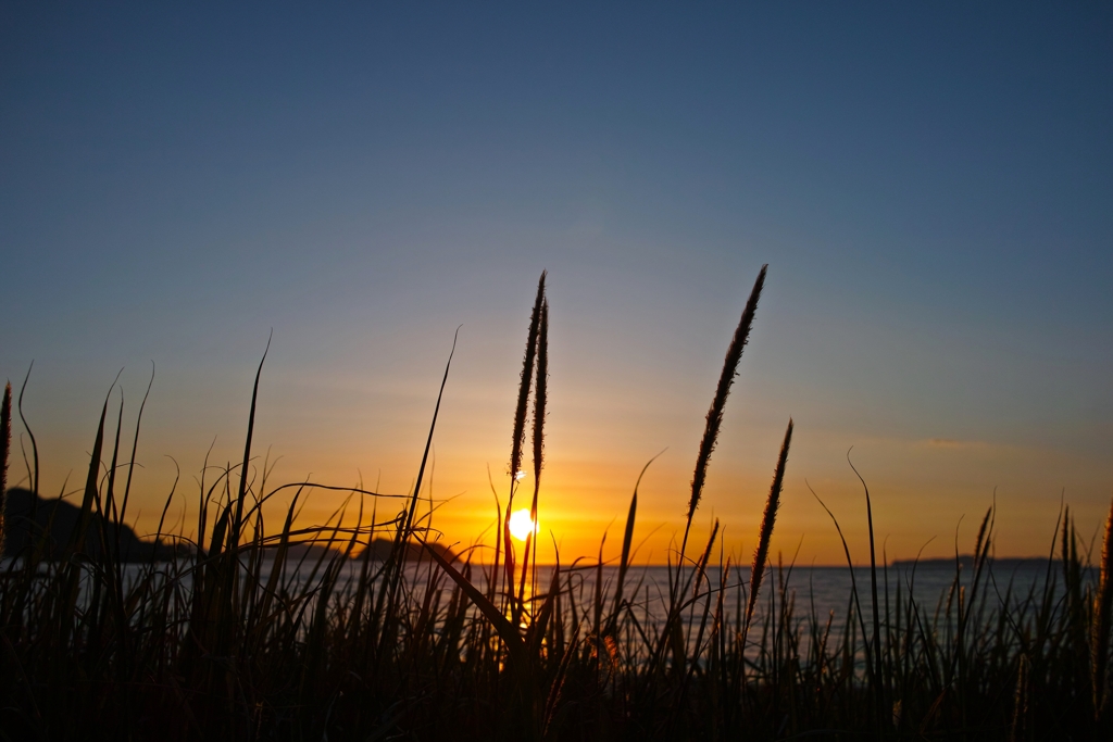 帰宅前の寄り道.2