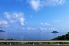 夏近し