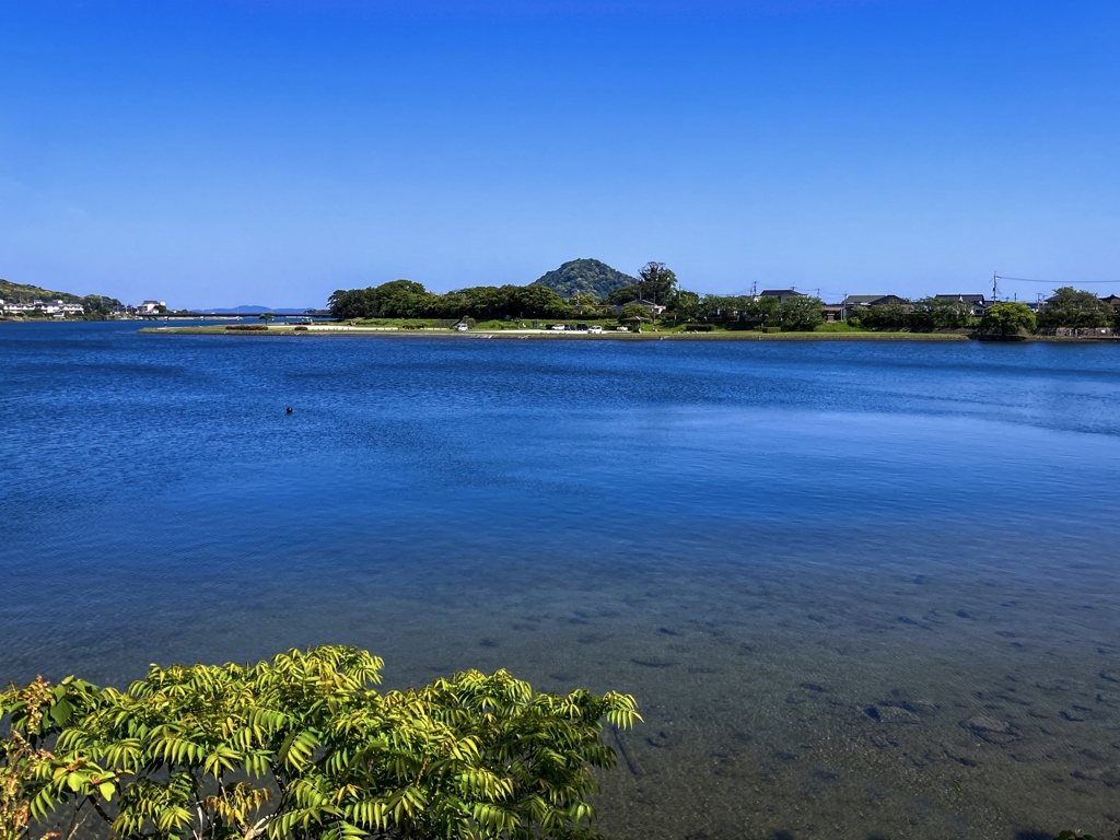 今日の河口付近