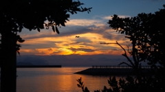 垣根の継ぎ目から見える夕景