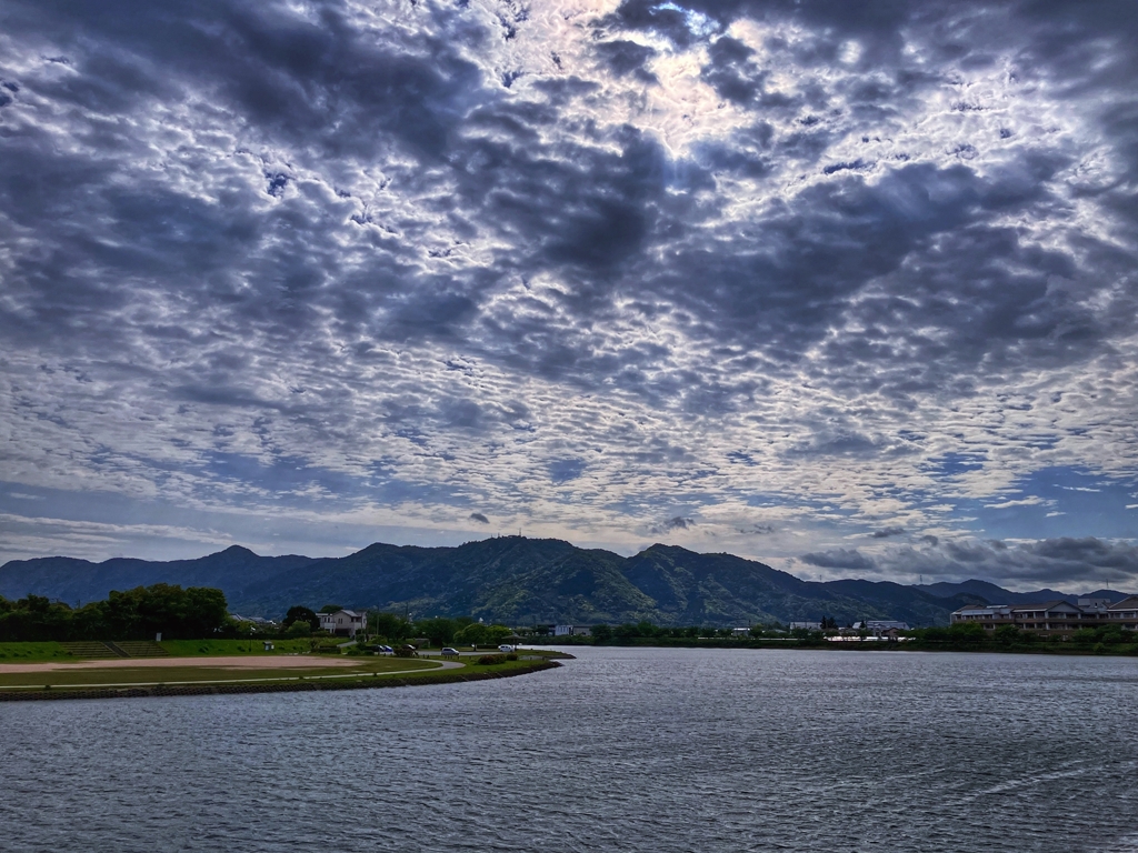 今日の寄り道