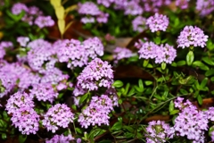 クリーピングタイム