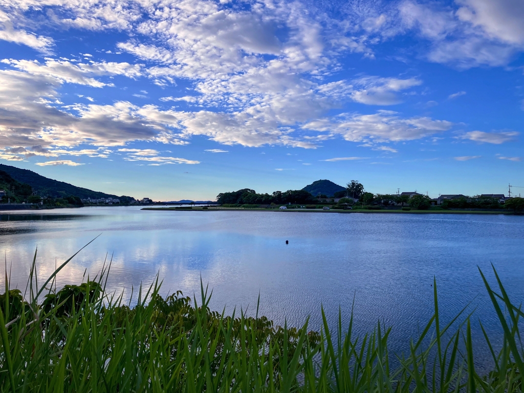 いつもの寄り道.1