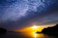 SIGMA DP1 Merrill の画