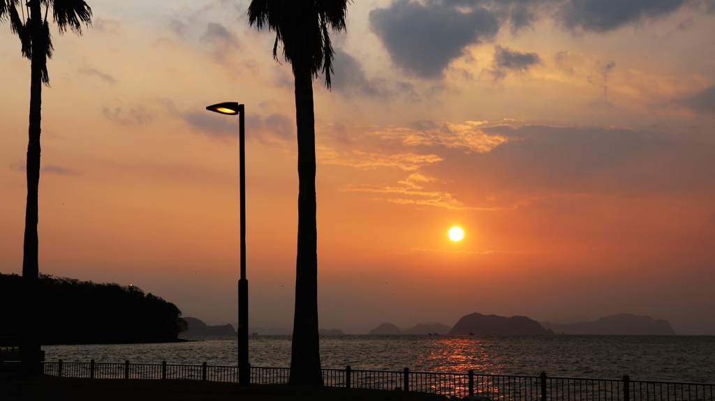 街灯とおぼろ夕陽
