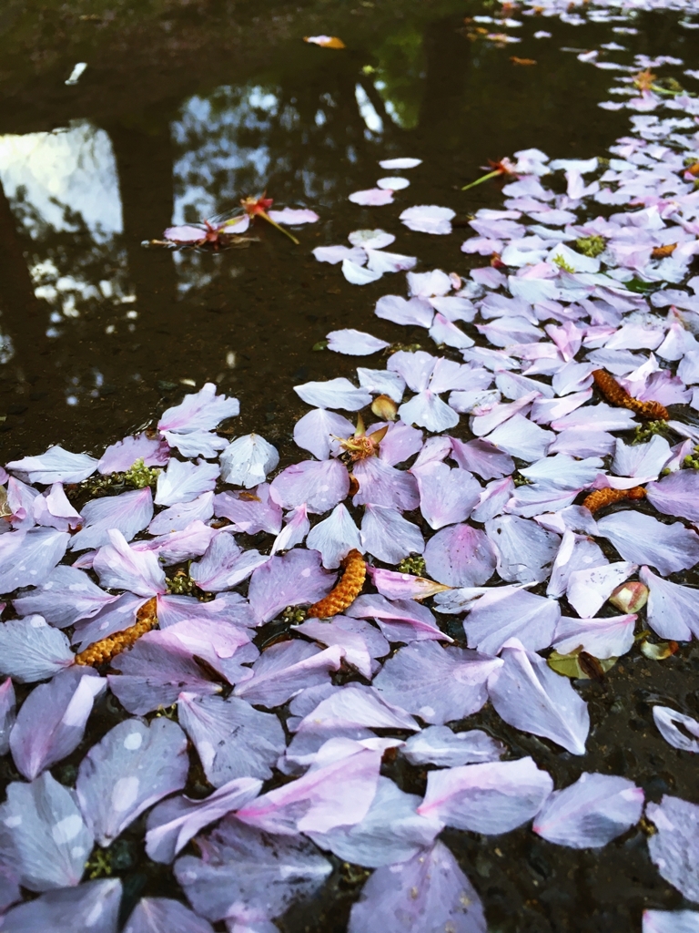 季節を感じる一枚