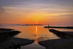 帰宅前の寄り道.4