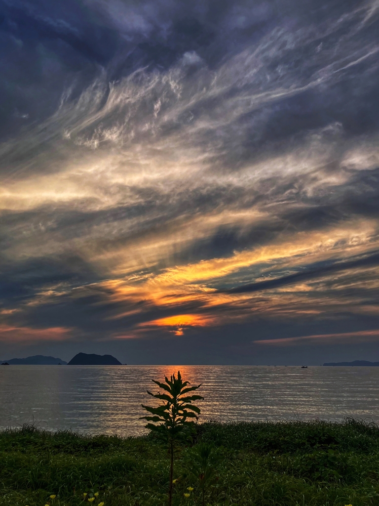 帰宅前の寄り道.3