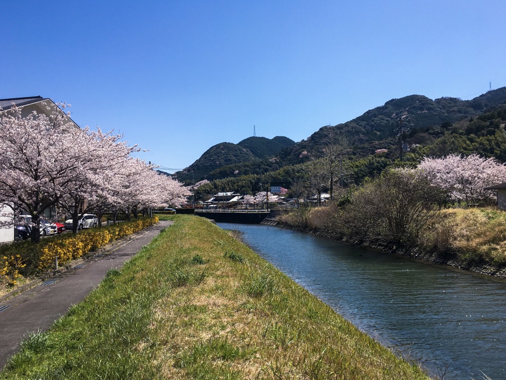 土手からの眺め