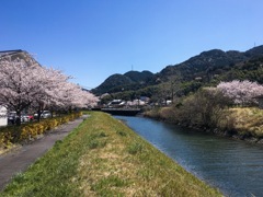 土手からの眺め