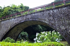 眼鏡橋と紫陽花