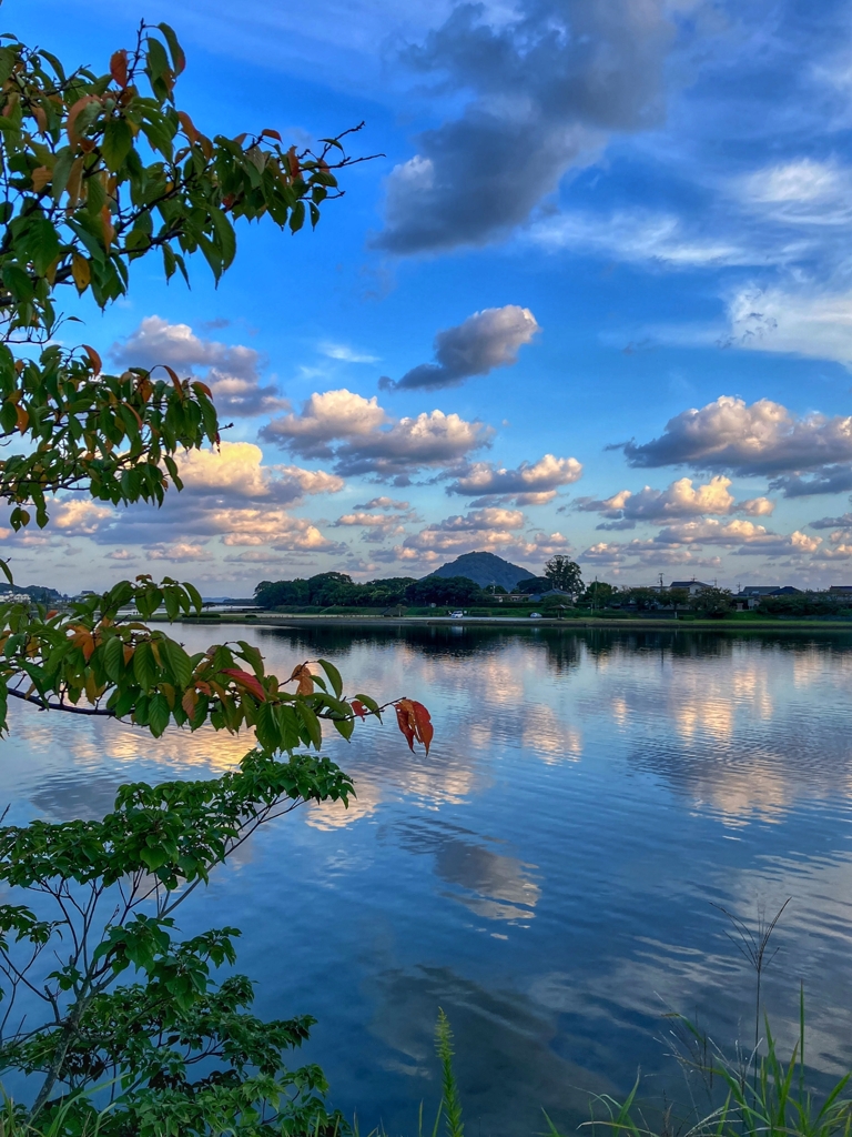 今朝の寄り道.２