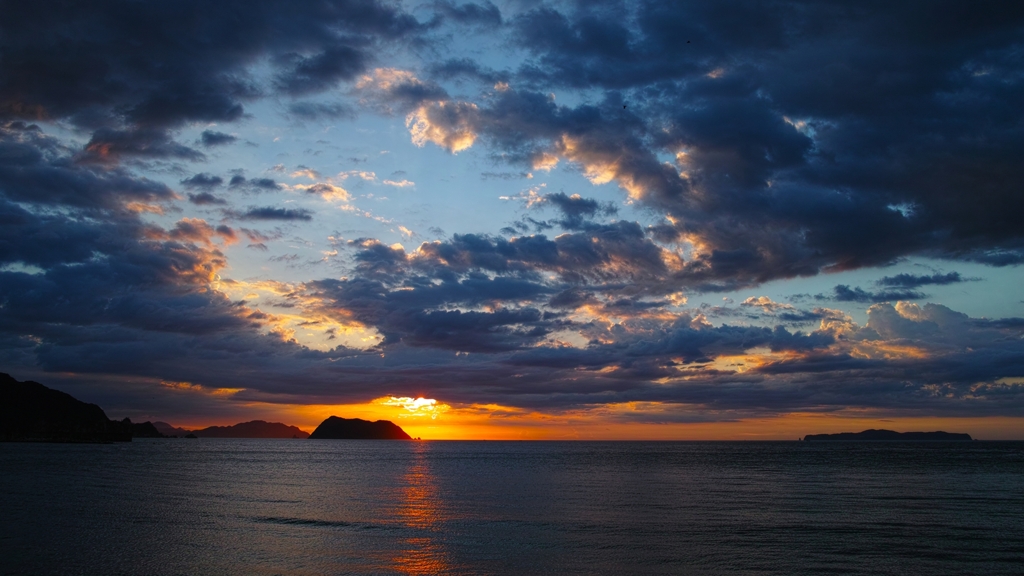 フォベオンの画