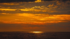 スポットライト