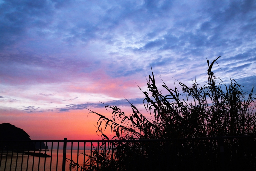 今日の帰宅前 ver.3