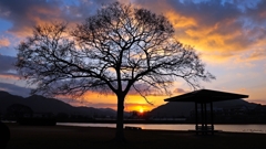 あけましておめでとうございます