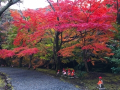 大寧寺の遊歩道