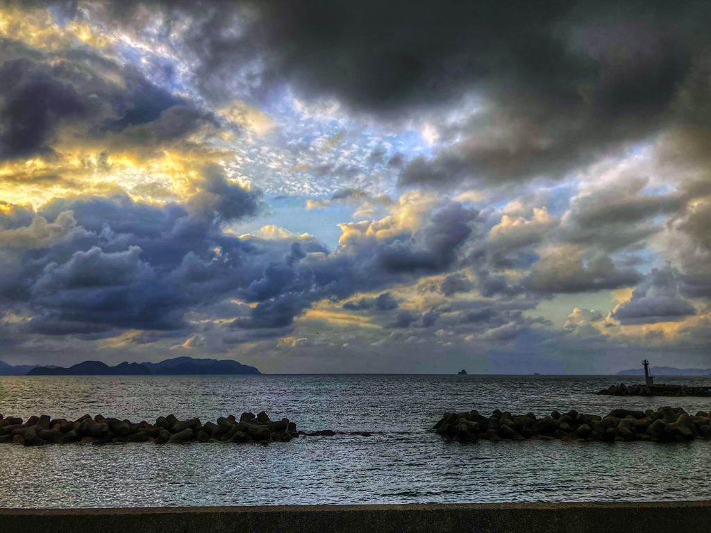 こんな天気でもめげず