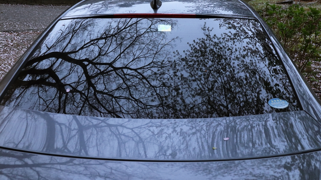 リヤガラスの映り込み