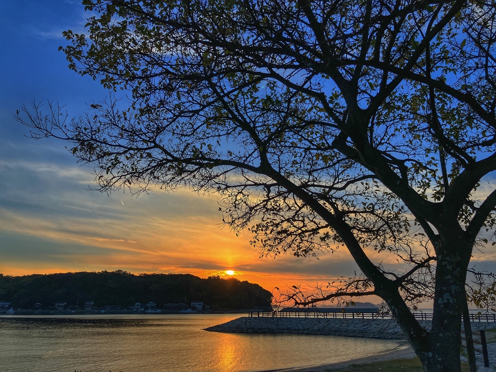 シルエット越しの夕景Ver.2