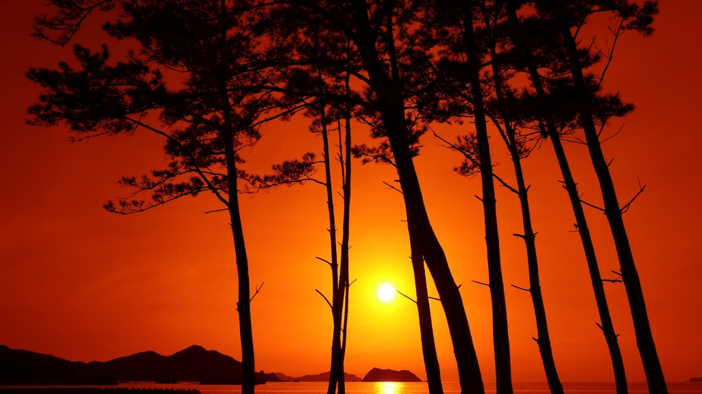 オレンジフィルター越しの夕陽