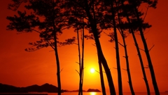オレンジフィルター越しの夕陽