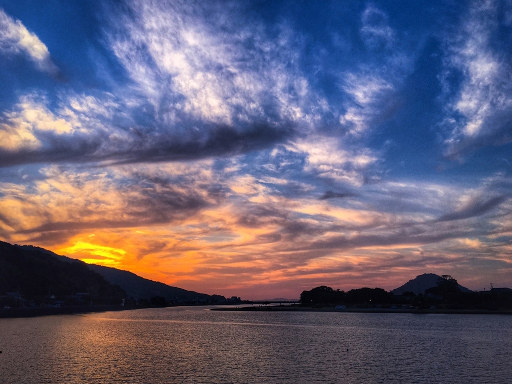 今日の河口付近