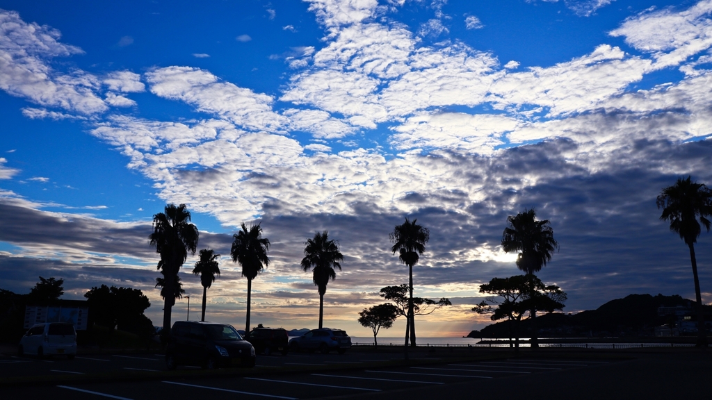 マリーナ脇の公園にて