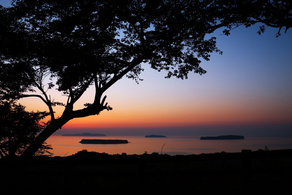撮影場所からの帰路にて