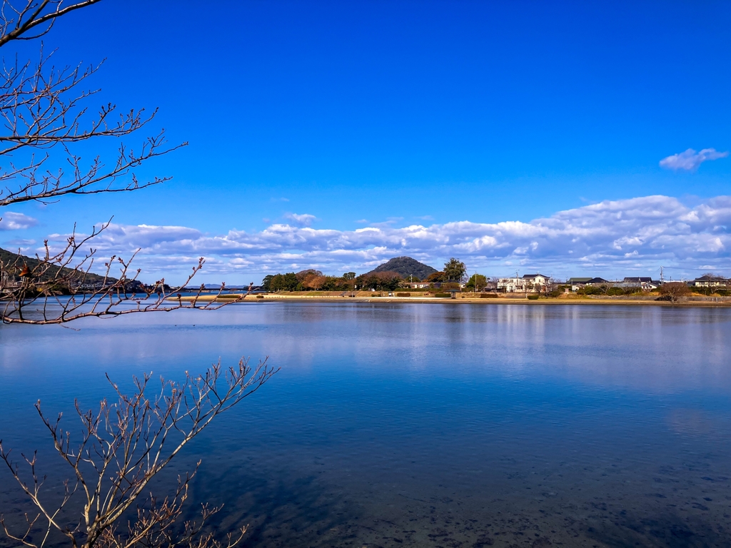 いつもの河口付近
