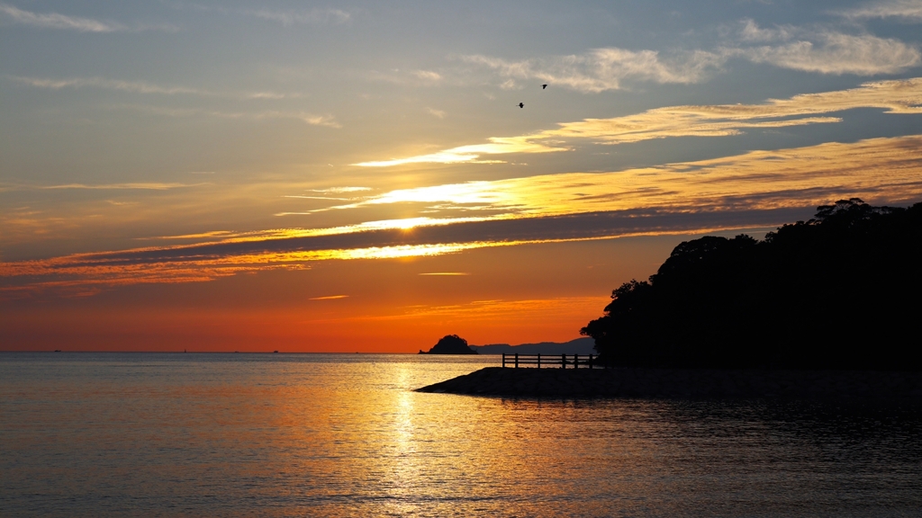 塒（ねぐら）へ