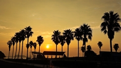 フェニックスのシルエット