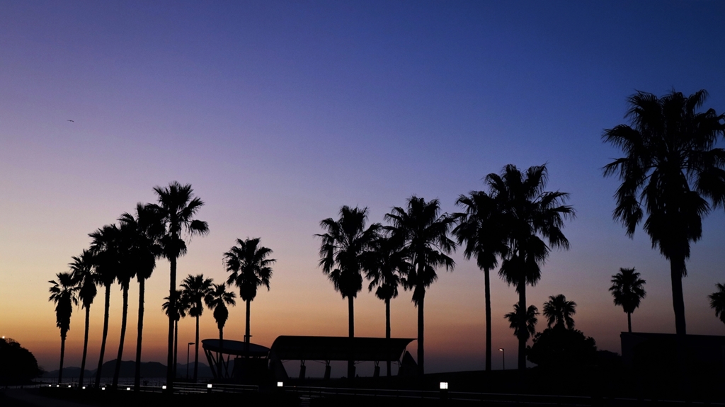 フェニックスのシルエット