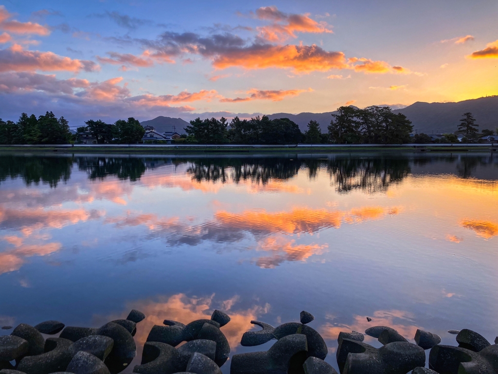 今朝の河口付近