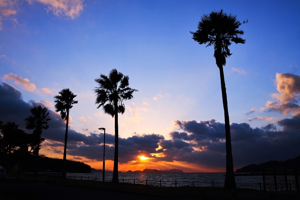 帰宅前の寄り道 ver.1